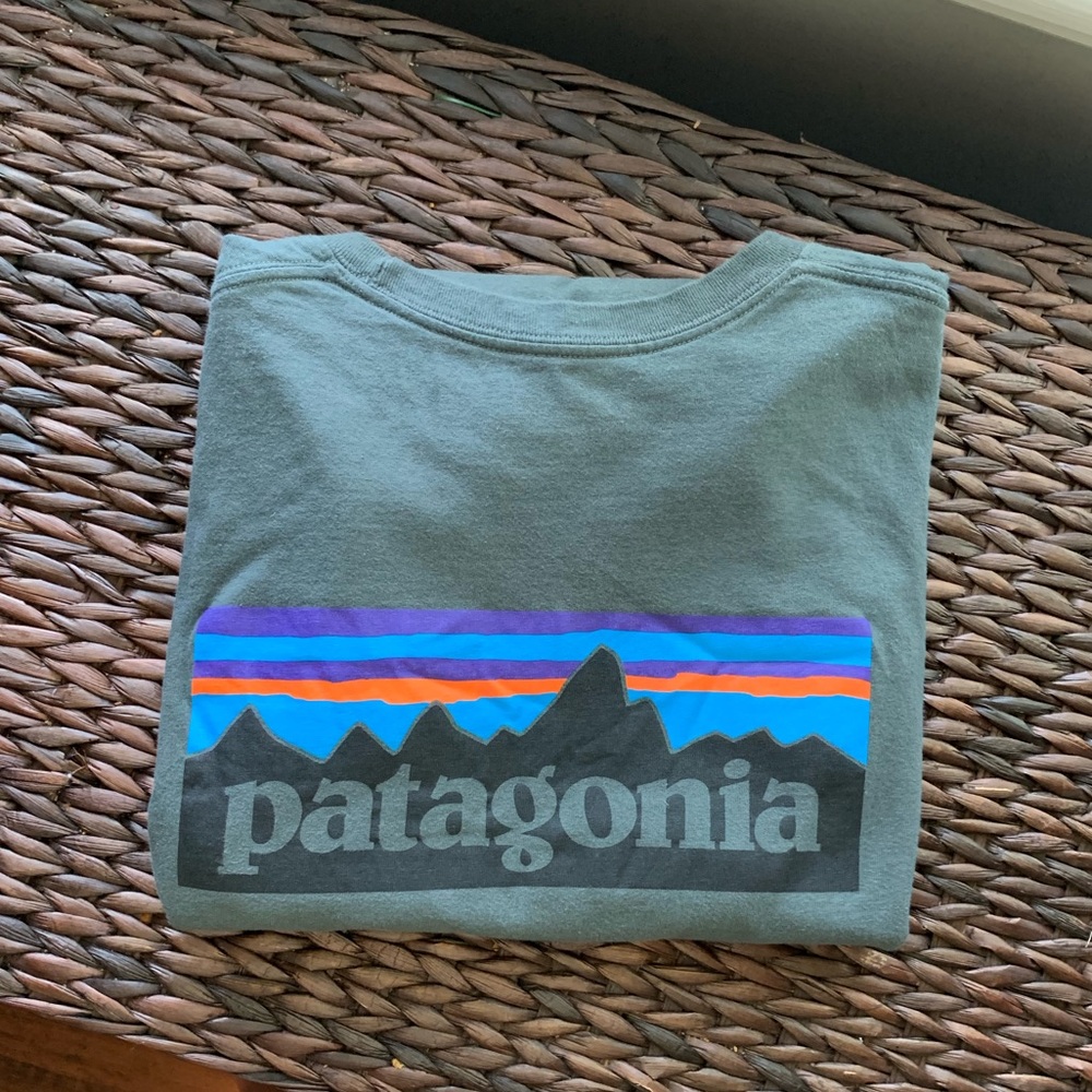 Patagonia Logo T-Shirt